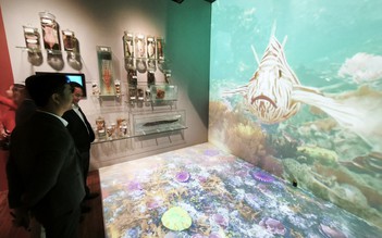 Bảo tàng Đà Nẵng có robot dẫn đường, mở cửa miễn phí từ hôm nay