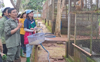Người trẻ thời công nghệ: Thiếu kỹ năng sống trầm trọng