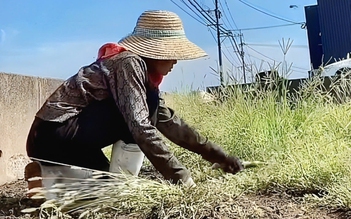 Đằng sau mức lương hàng chục triệu đồng nơi xứ người