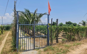 Bé Bắp qua đời