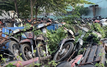 Cho bán ngay tang vật nếu không có nơi bảo quản?