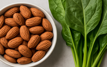 4 loại thực phẩm giàu vitamin E giúp giảm nguy cơ mắc ung thư