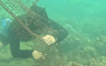 Lặn biển giải cứu san hô