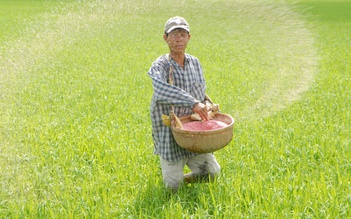Doanh nghiệp Việt đẩy mạnh xuất khẩu phân bón