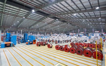 'Bệ đỡ' của GELEX trước những biến động thị trường