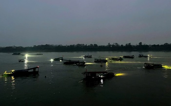 Săn vật vờ trên sông Hồng