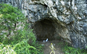 Nhiều giả thiết về những bộ hài cốt trong hang đá ở Nghệ An