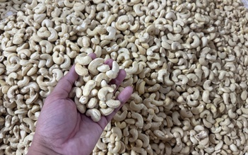 Vì sao 'vua điều' 10 năm chưa đòi được 4 container hàng bị mất?