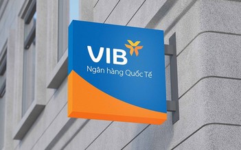 VIB: Lợi nhuận quý 1.2025 đạt hơn 2.400 tỉ đồng, thực hiện chia cổ tức 21%