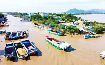 Kỳ tích hồi sinh vựa lúa miền Tây