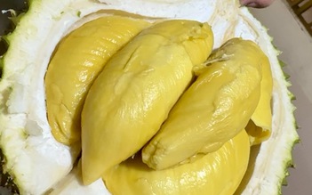 Sầu riêng tươi gặp khó, xuất khẩu sầu riêng đông lạnh tăng mạnh