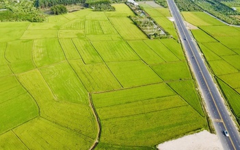 Cánh đồng lúa đẹp mê mẩn ở làng thông minh nhìn từ trên cao