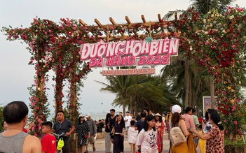Đường ven biển hóa đường hoa, người người nô nức check-in