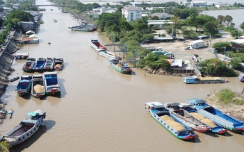 Nhập khẩu 8,2 triệu tấn lúa để đáp ứng nhu cầu xuất khẩu gạo