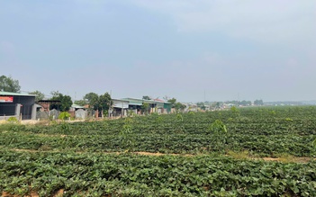 Dân bức xúc vì ô nhiễm môi trường
