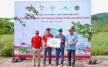 Dai-ichi Life Việt Nam triển khai trồng hơn 10.000 cây xanh tại Rừng phòng hộ Đồng Xuân