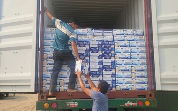 Khởi tố cán bộ hải quan tiếp tay buôn lậu sữa, thực phẩm dinh dưỡng