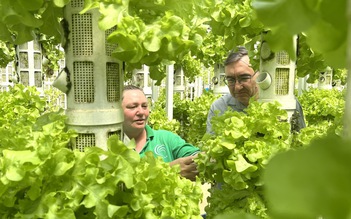 Loại đá 'thần kỳ' mang đến giải pháp nông nghiệp sạch hứa hẹn giá trị tỉ đô