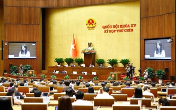 Cơ chế phải đủ mạnh, kinh tế tư nhân mới cất cánh