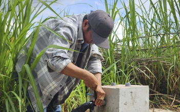 Trạm bơm 37 tỉ đồng bỏ hoang ở Bình Định hoạt động trở lại