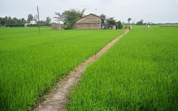 Dùng điện giăng bẫy chuột khiến 1 người tử vong