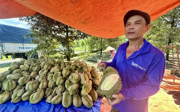 Thủ tướng: Ưu tiên làm thủ tục thông quan sầu riêng