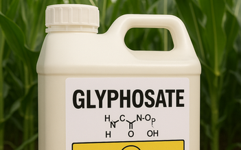 Phát hiện lượng lớn thuốc trừ sâu trong băng vệ sinh ở Anh