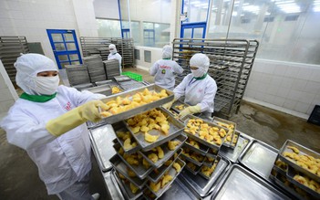 Trung Quốc, EU, Nhật Bản tăng mua tôm cá Việt Nam, vì sao?