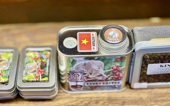 Giá cà phê cao kỷ lục, mỗi tháng Việt Nam thu về 1 tỉ USD