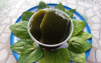 Món ngon mùa hè: Thanh mát thạch sương sâm