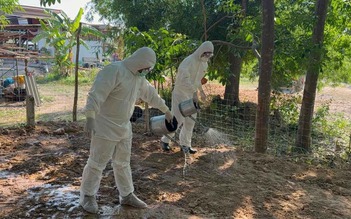 Lo ngại bệnh than, Campuchia ngừng nhập một số sản phẩm từ Thái Lan