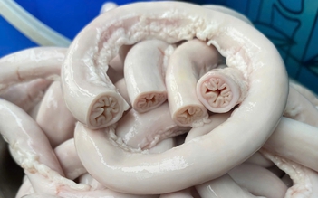 Lòng se điếu 'xịn' giá vài triệu đồng/kg vẫn hút khách