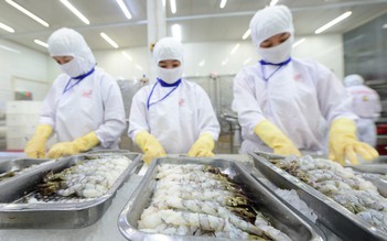TP.HCM thu ngân sách 4 tháng đầu năm hơn 202.000 tỉ đồng