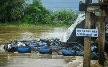 Đà Nẵng: Lũ cuốn trôi lồng bè gây thiệt hại tiền tỉ, uy hiếp đập An Trạch