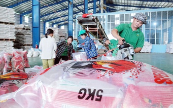 Giá gạo thế giới đồng loạt lao dốc, vì sao?