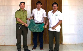 Trăn gấm vào nhà dân... bắt gà