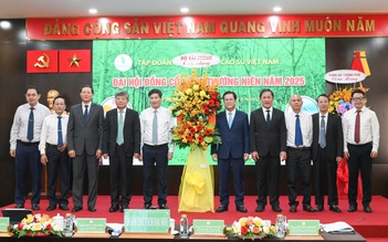 VRG chủ động chiến lược, bền bỉ kiến tạo tăng trưởng xanh