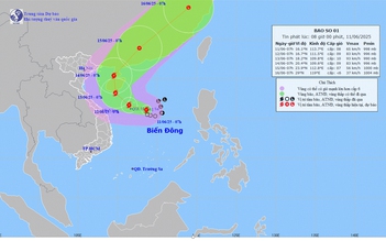 PC Phú Yên chủ động đề nghị các giải pháp an toàn điện mùa mưa bão 2025