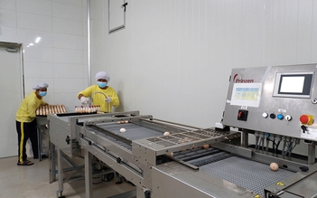 Tây Ninh: Đột phá trong phát triển nông nghiệp công nghệ cao