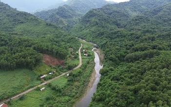 Rừng Quảng Bình: Báu vật thiên nhiên và công lao những người bảo vệ, phát triển rừng