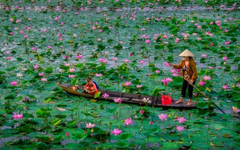 Đồng Tháp - tên gọi thân thương