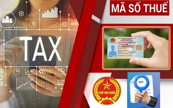 Cục Thuế hướng dẫn chi tiết dùng số định danh thay mã số thuế