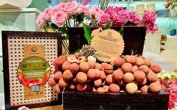 Hành trình đặc biệt: Vải tổ Thanh Hà về với Mena Gourmet