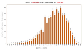 Điểm thi lớp 10 của TP.HCM: Môn ngữ văn có 2 thí sinh đạt 9,5 điểm