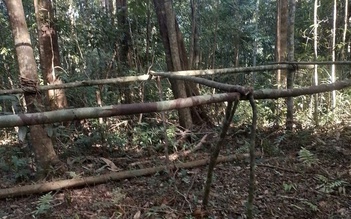 Clip rác chất đống sau giải chạy: Ban tổ chức phản hồi 'có thiếu sót'