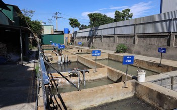Một công ty ở Hưng Yên xả nước thải nồng nặc mùi hóa chất ra môi trường