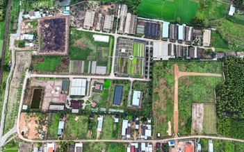 Thu hồi dự án rau an toàn biến tướng