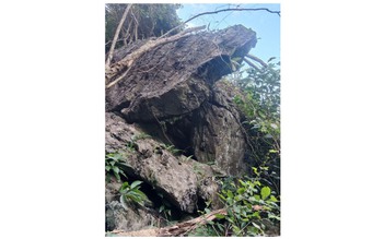 Đá lăn rình rập dân bản vùng cao Quảng Bình