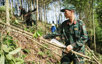 Đồng loạt ra quân tình nguyện hỗ trợ thi công đường dây 500 kV Lào Cai - Vĩnh Yên