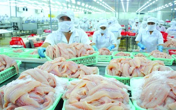 Nỗ lực phi thường của cá tra Việt Nam